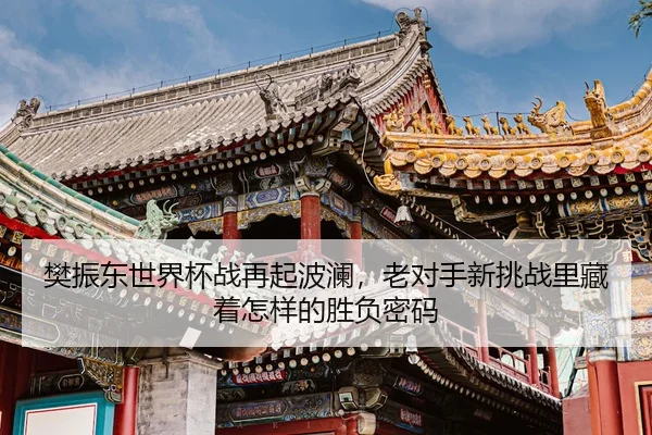 樊振东世界杯战再起波澜,老对手新挑战里藏着怎样的胜负密码